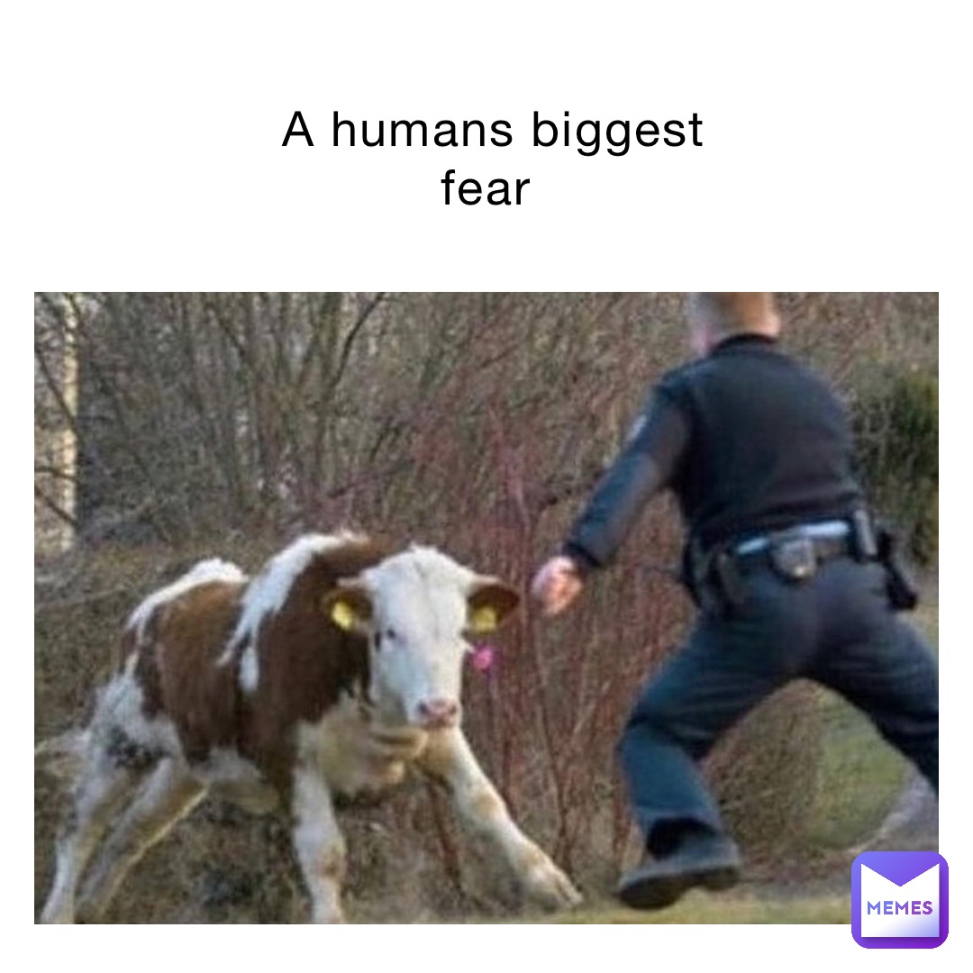 A humans biggest fear