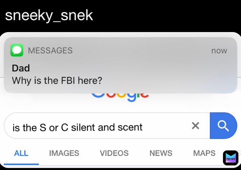 Post by @sneeky_snek | Memes