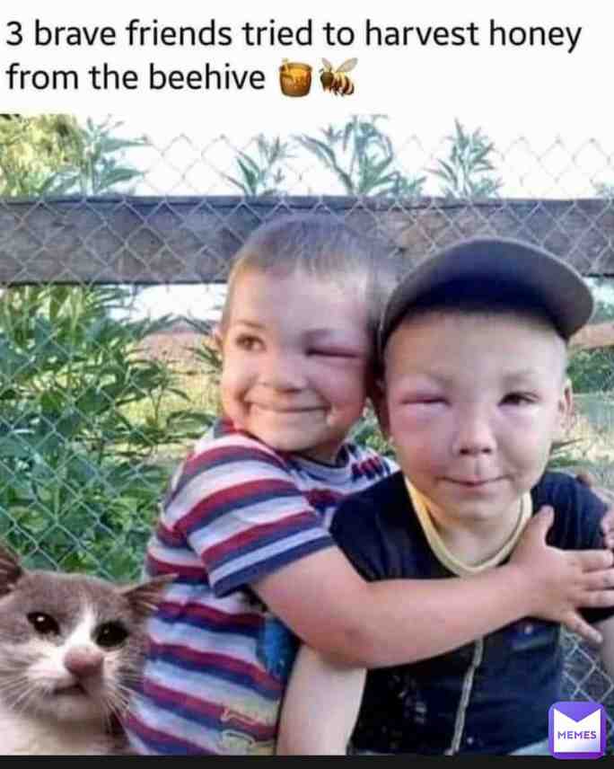 Meme shared by @no_jams_crew
