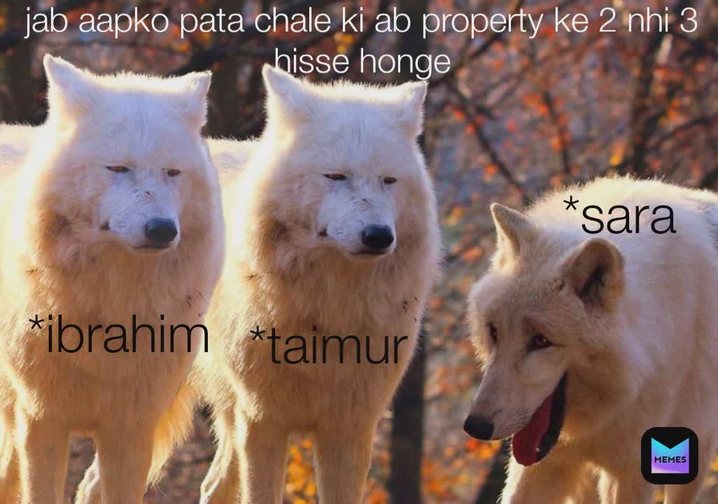 Meme by harshitchouhan