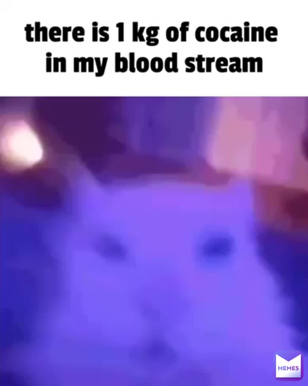 Meme preview