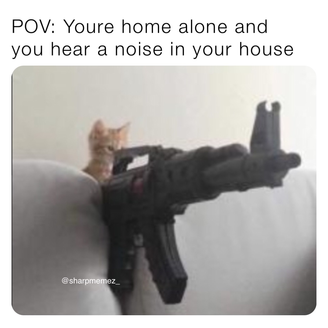 POV: Youre home alone and you hear a noise in your house