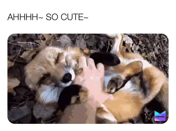 fox down meme