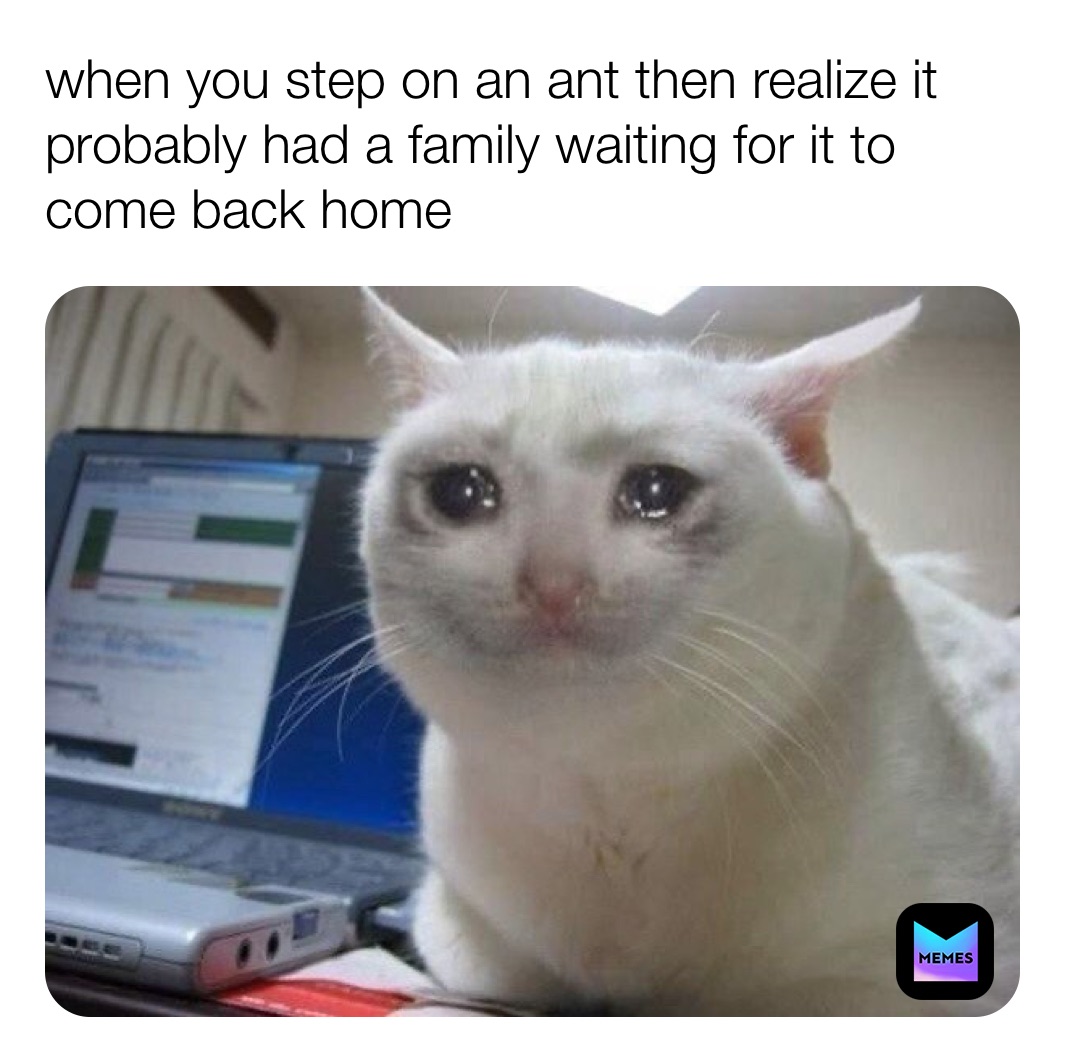 Meme by athaliewatts