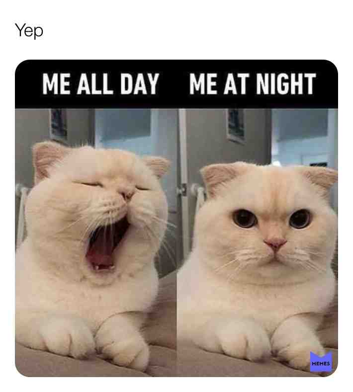 #Sleeplessnights