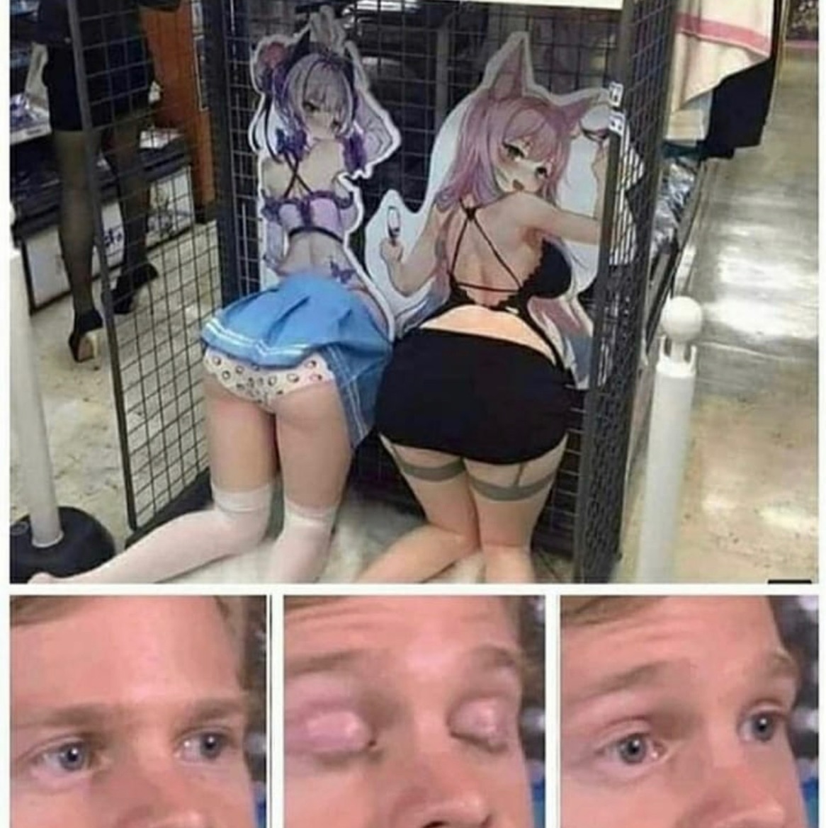 Meme by just.a.meme.girl