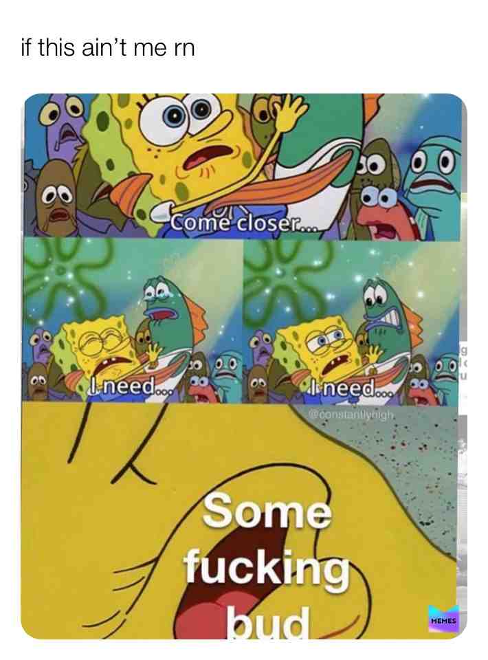 😂😂 #weed #bud #weedhumor #weed420 #420 #blunt