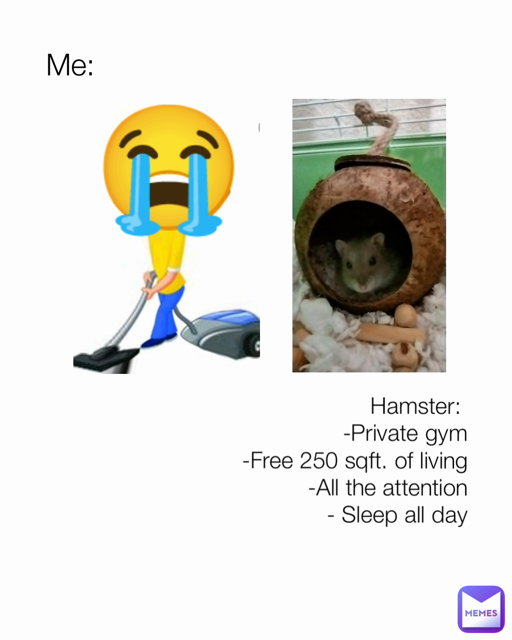 😭 Hamster: 
-Private gym
-Free 250 sqft. of living
-All the attention
- Sleep all day Me:
             