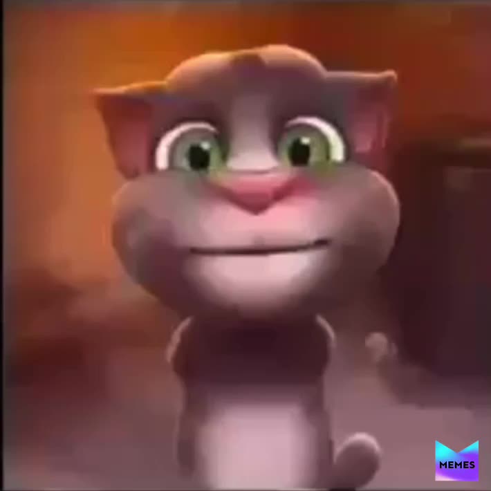 Talking tom clearance pashto funny videos