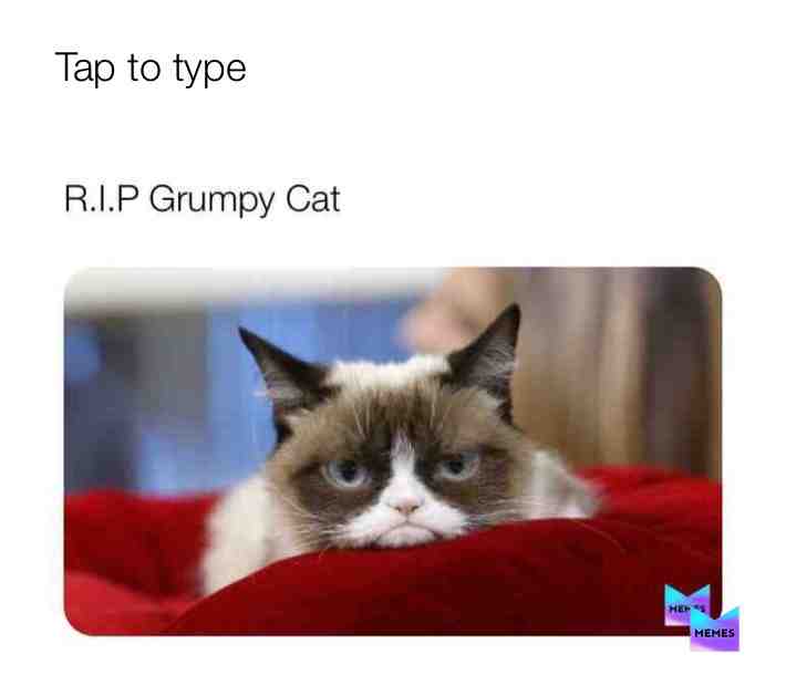 Meme preview