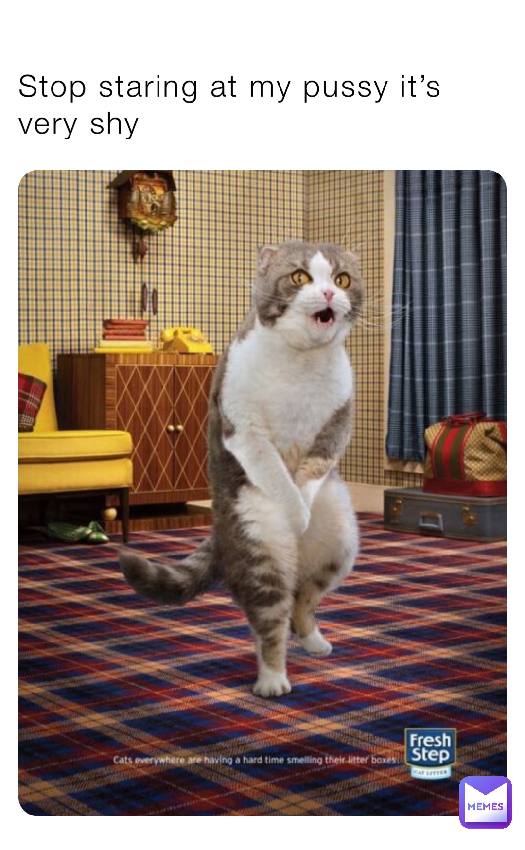 Stop staring at my pussy it’s very shy