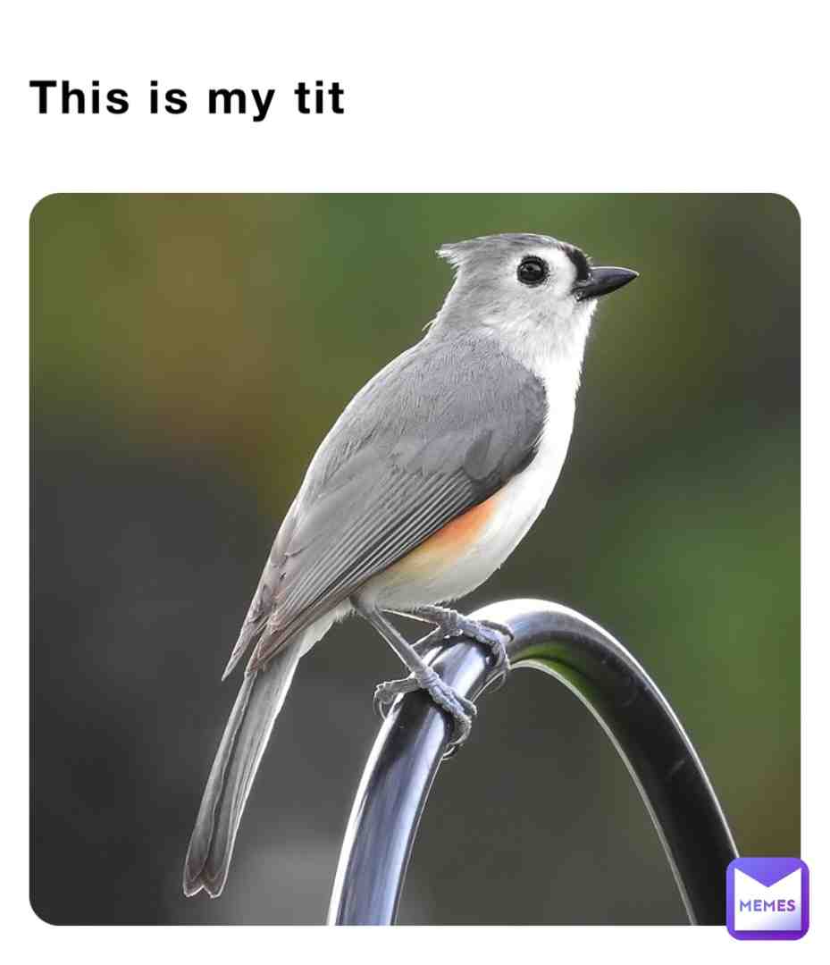 If some horny guy ask you for tits. Show them this