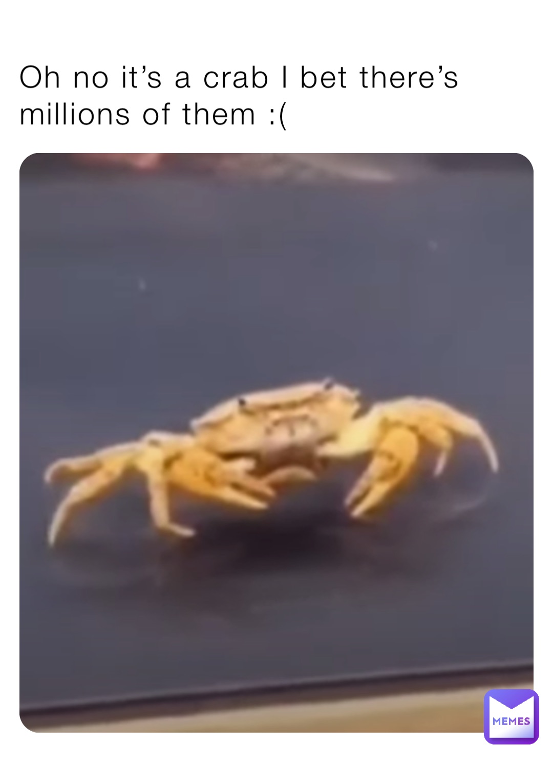 Oh no it’s a crab I bet there’s millions of them ( Expl0it5r Memes