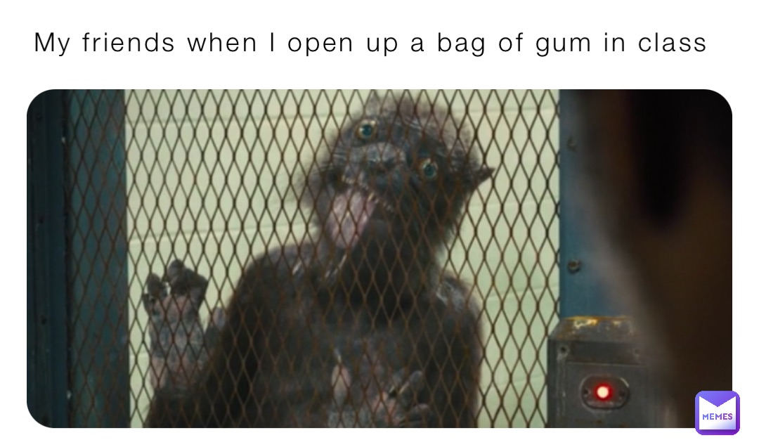 My friends when I open up a bag of gum in class