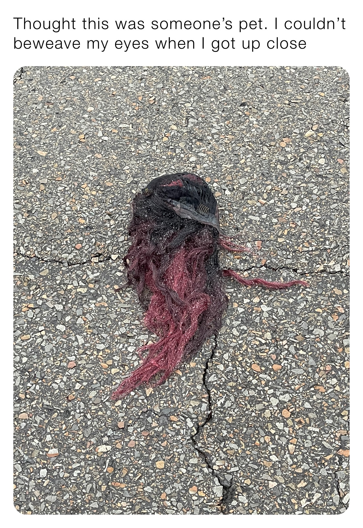 Meme by batesphillip