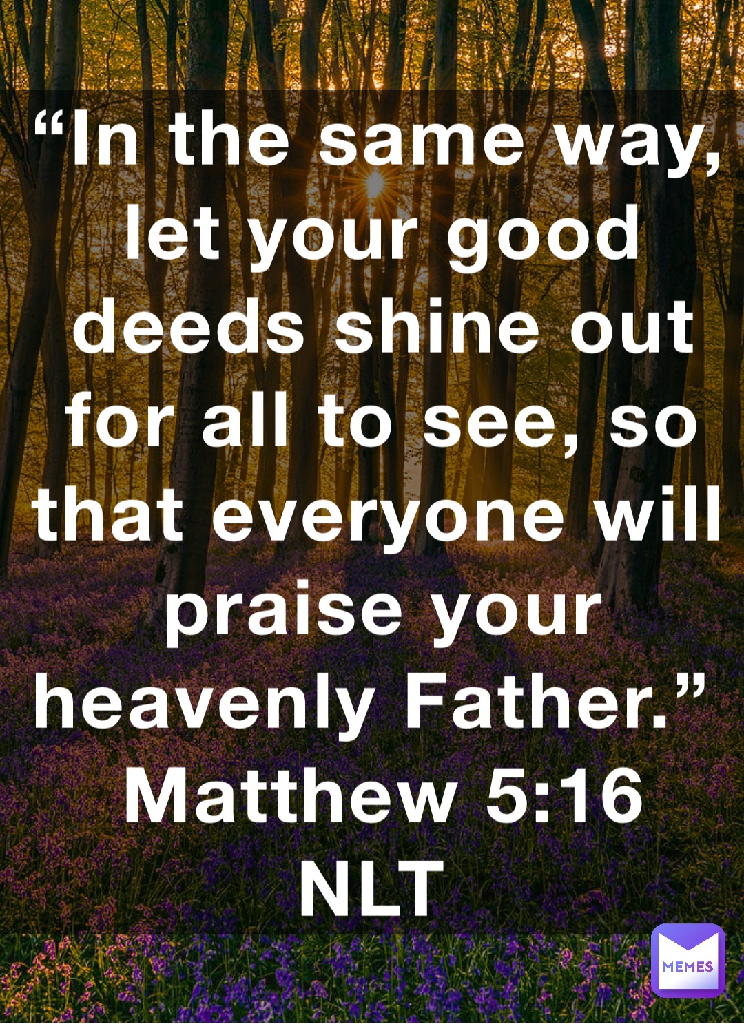 “In the same way, let your good deeds shine out for all to see, so that everyone will praise your heavenly Father.”
‭‭Matthew‬ ‭5:16‬ ‭NLT‬‬