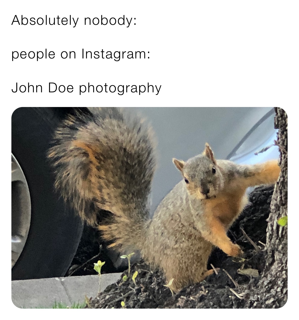 Absolutely nobody:

people on Instagram: 

John Doe photography 