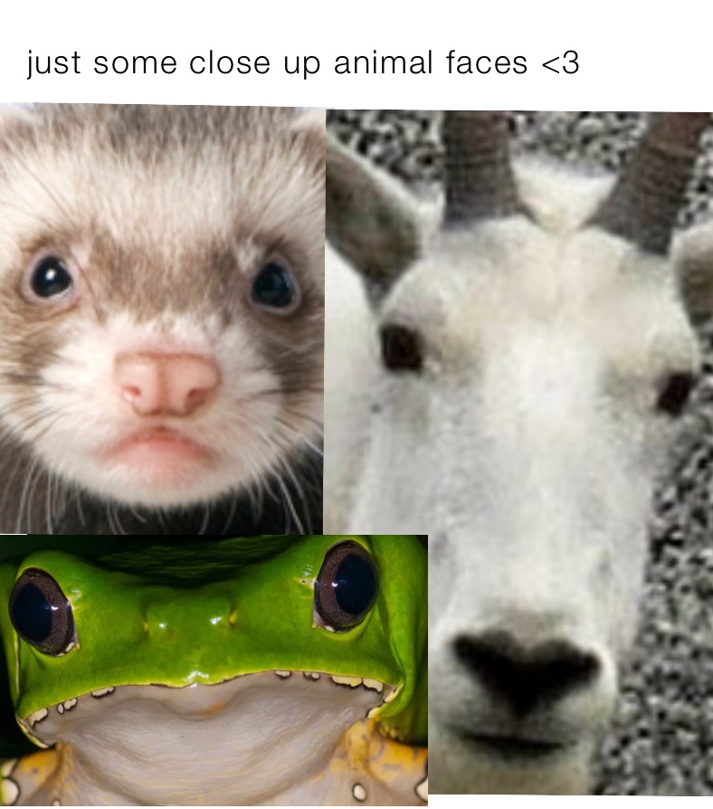 Meme by slurpmyjuice