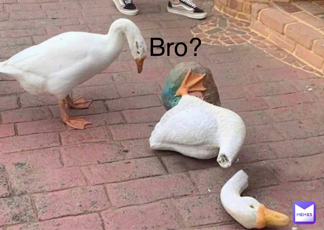 Bro?