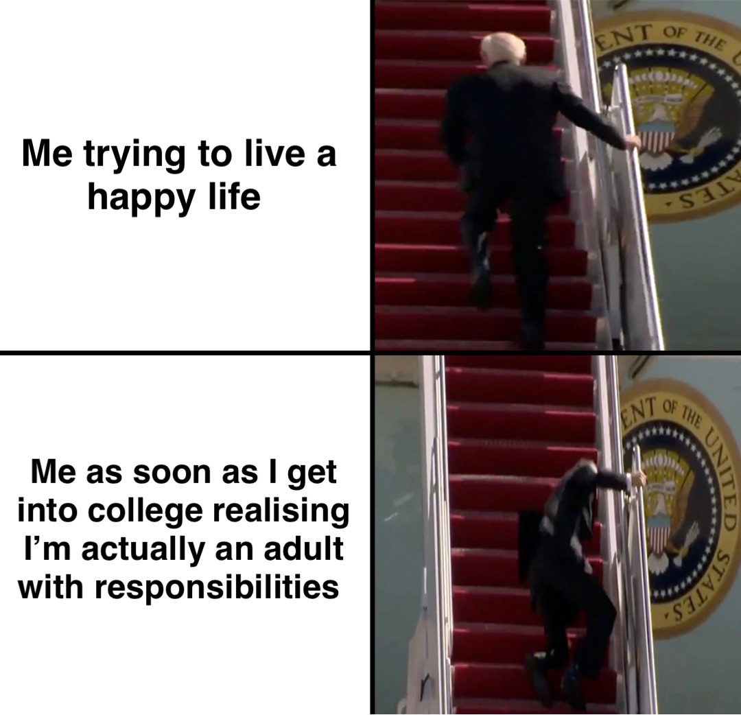 Me trying to live a happy life Me as soon as I get into college realising I’m actually an adult with responsibilities