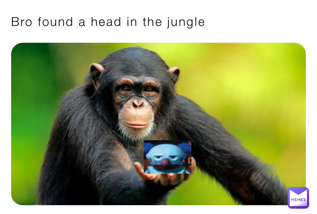 Bro found a head in the jungle