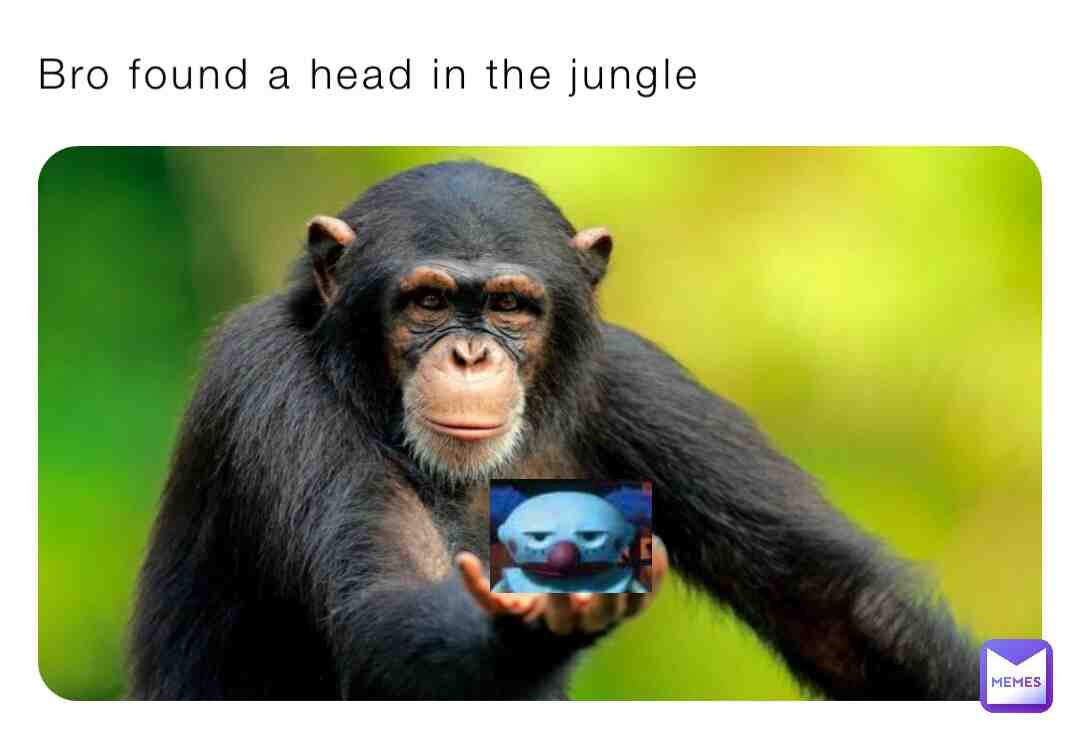 Jungle searching