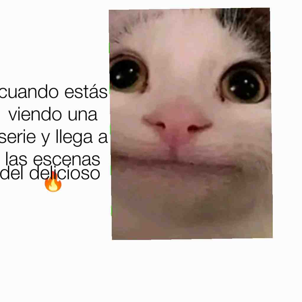 Meme preview