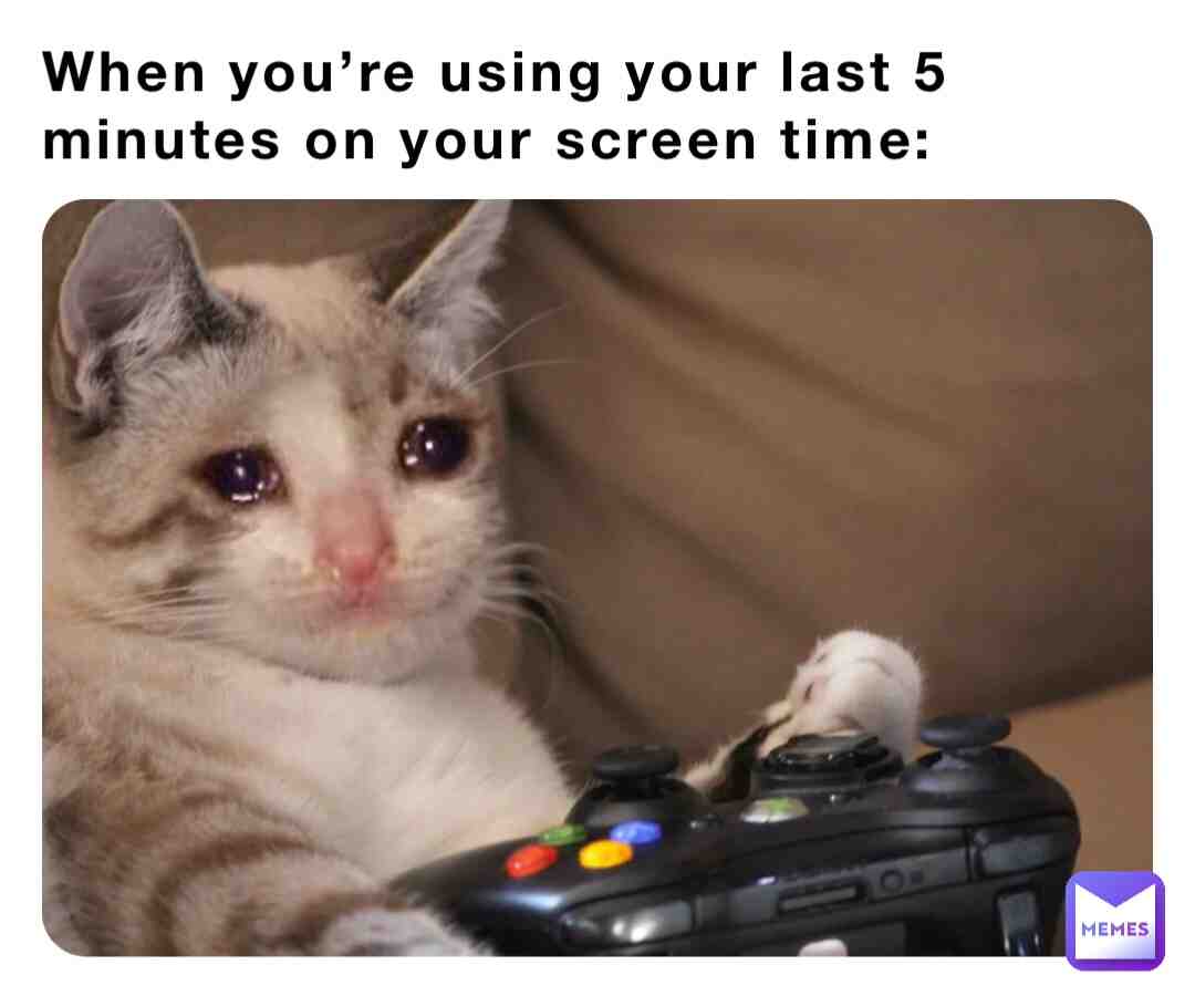 Meme preview