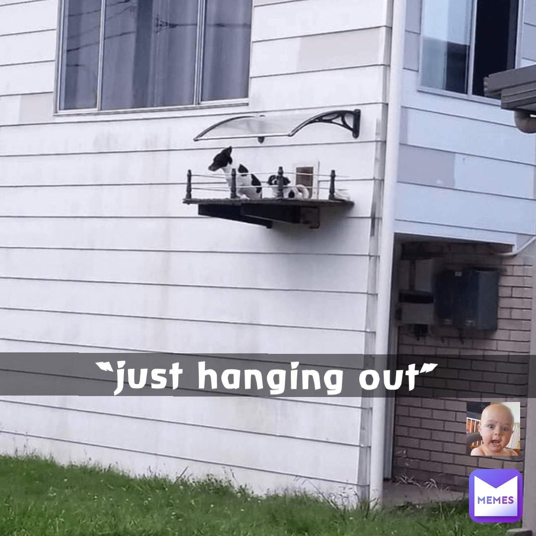 “Just Hanging Out”