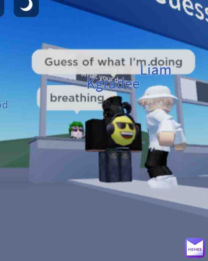 I play roblox and I was supposed to guess what they are doing and I was the green hair guy