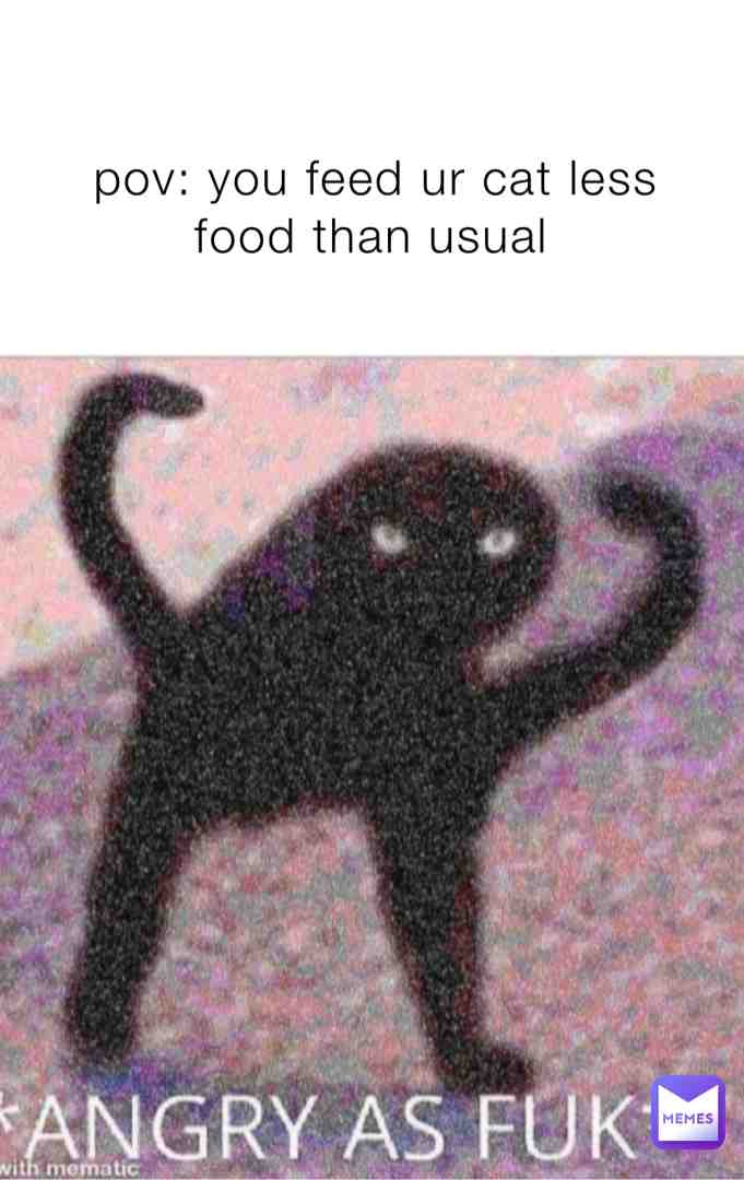 #memes  #funny  #cat  #catmemes