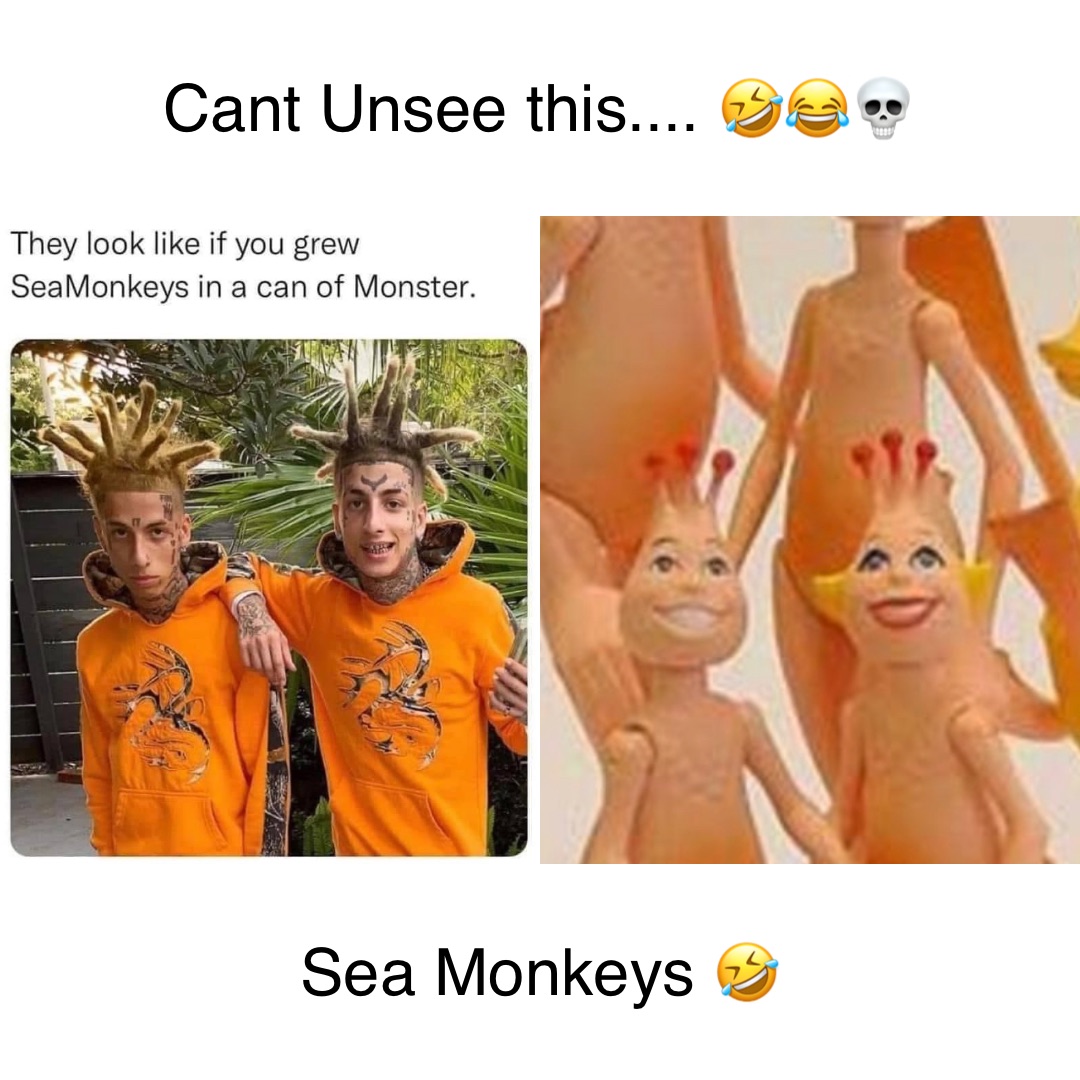 Cant Unsee this.... 🤣😂💀 Sea Monkeys 🤣