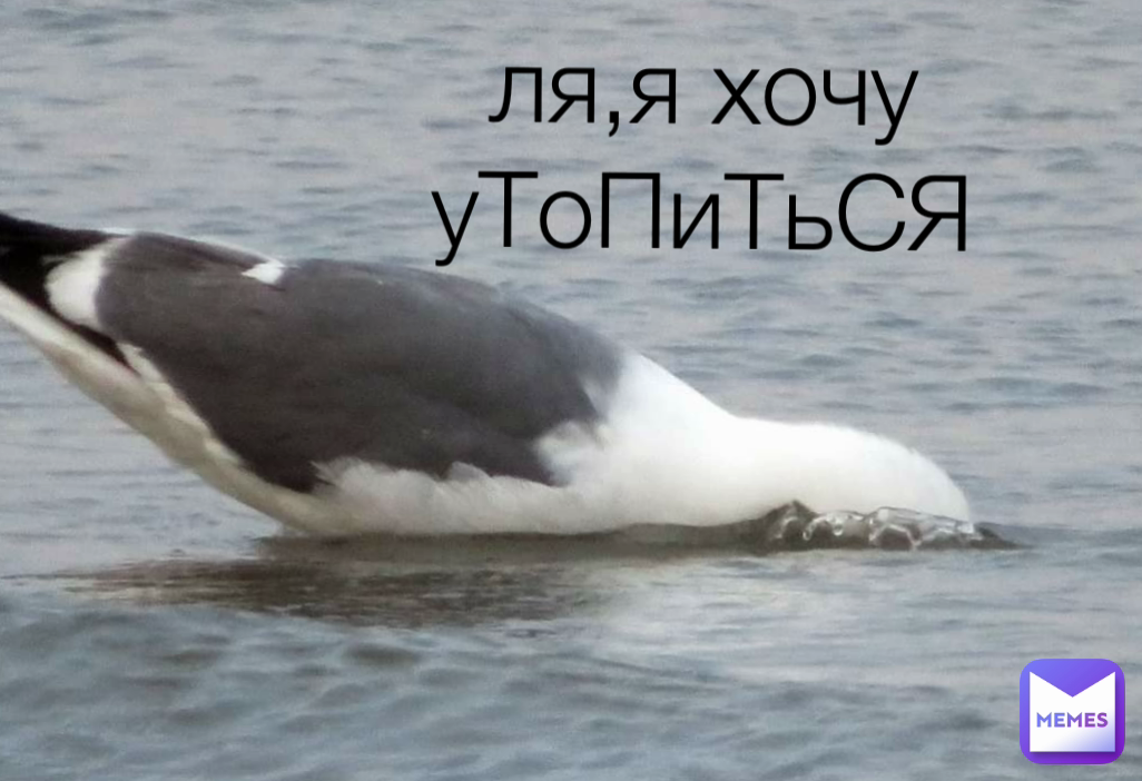 Meme by oranzh.babe.