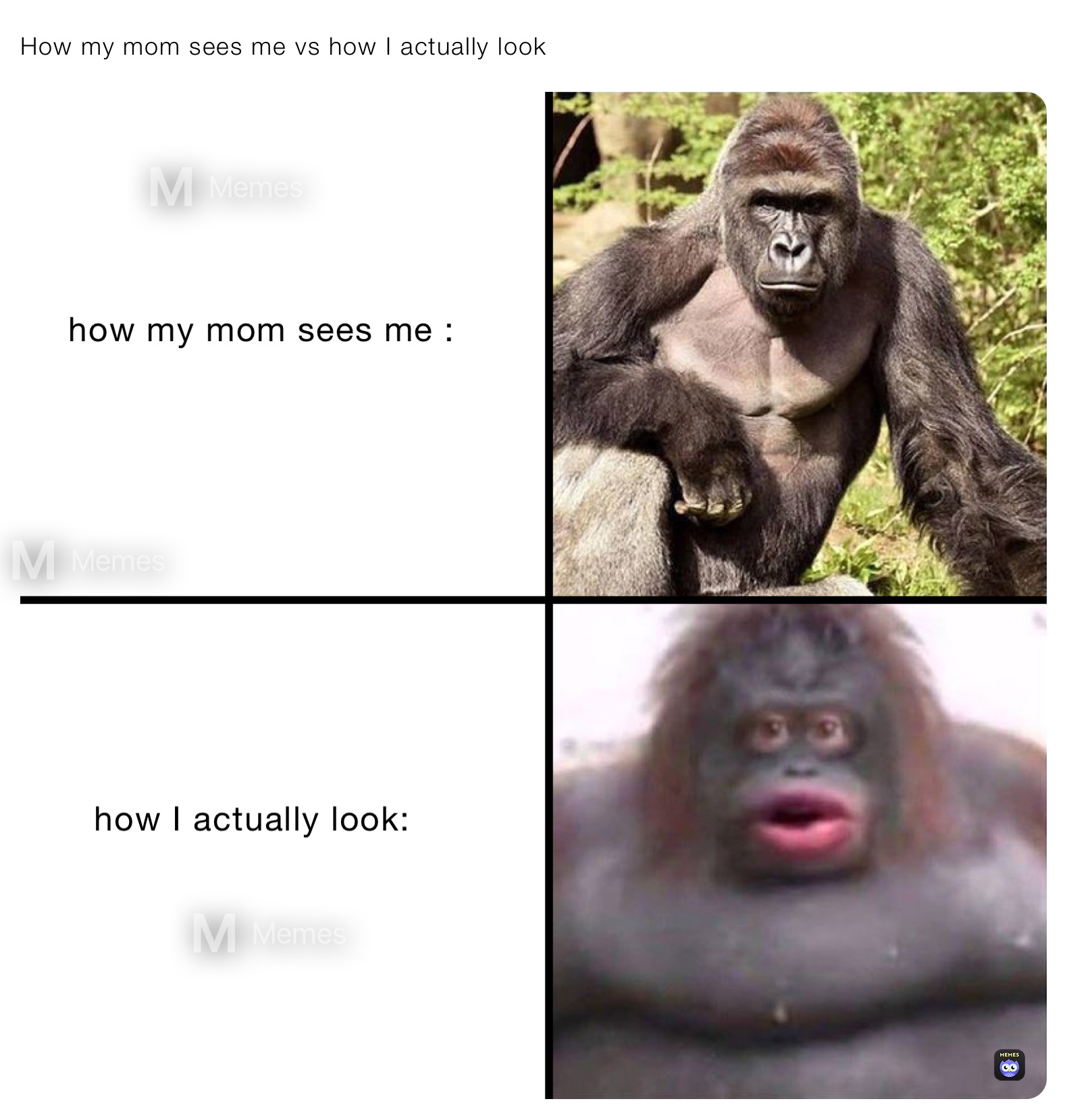 How my mom sees me vs how I actually look