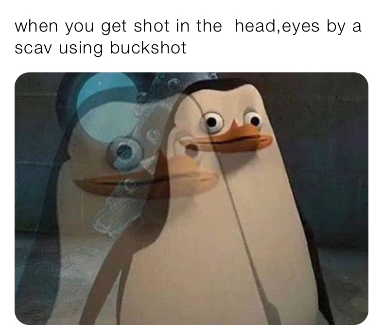 when you get shot in the  head,eyes by a scav using buckshot