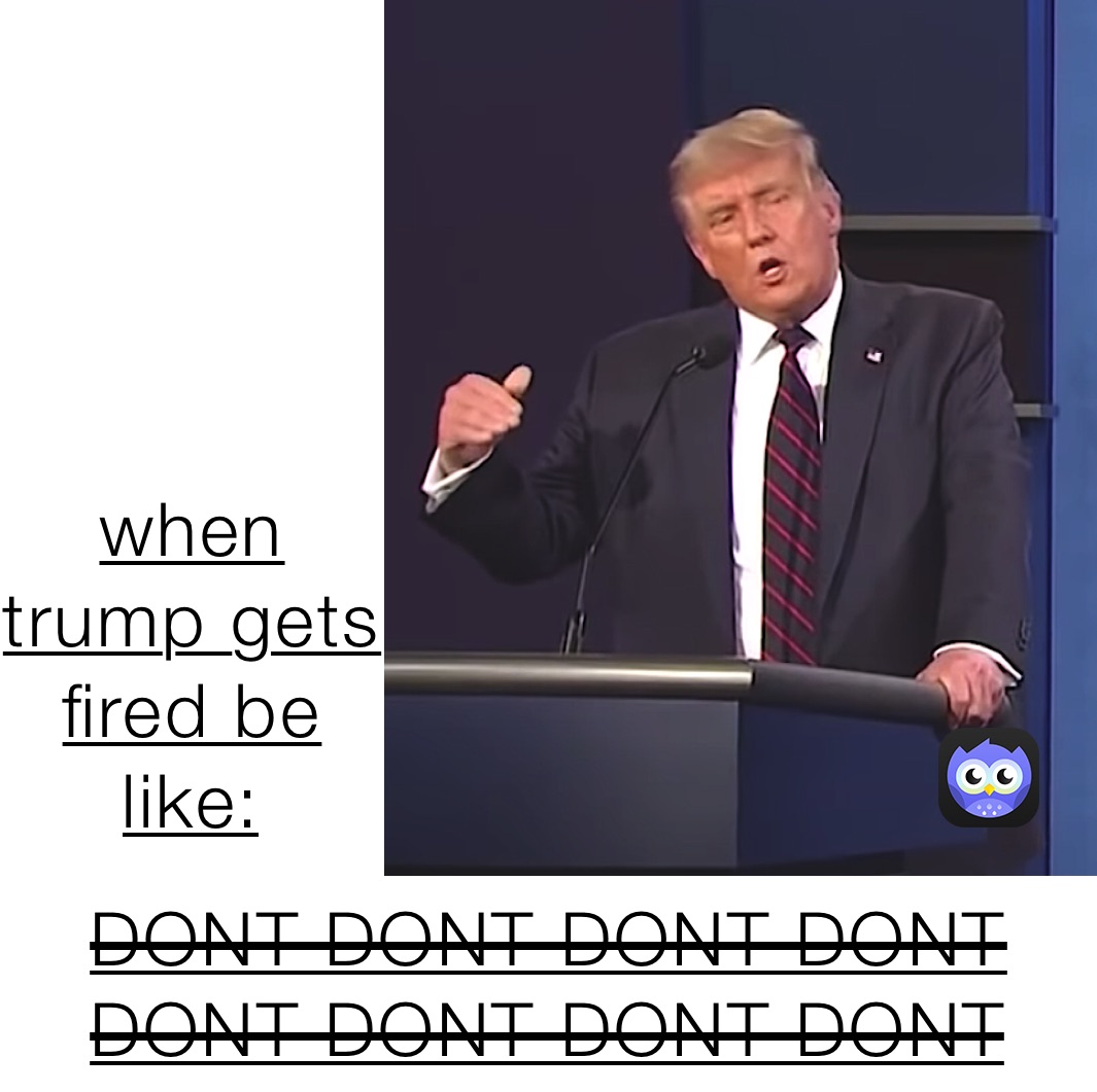 




when trump gets fired be like: DONT DONT DONT DONT DONT DONT DONT DONT