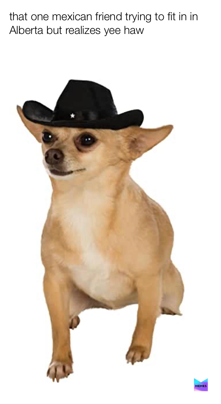 Meme by fresh_memes_if_bel_air