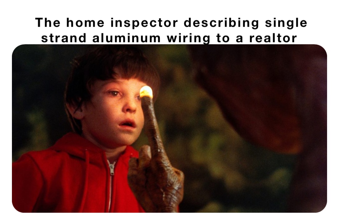 The home inspector describing single strand aluminum wiring to a realtor