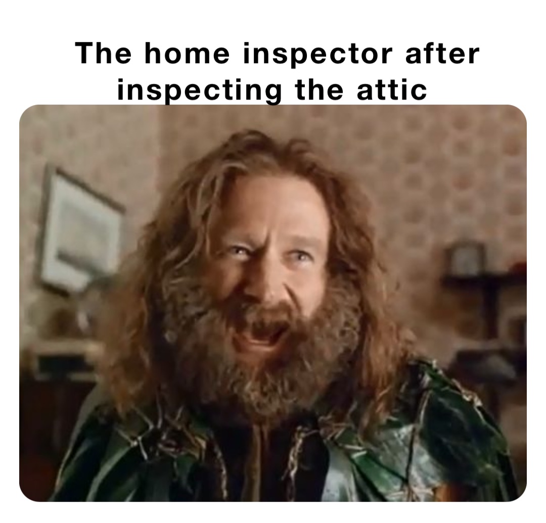 The home inspector after inspecting the attic