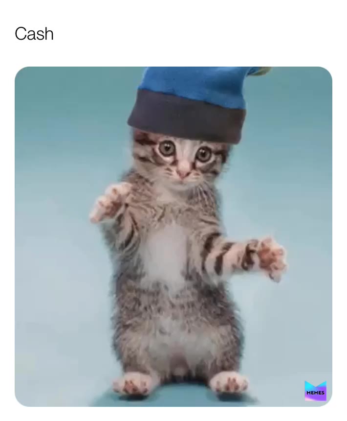 Meme shared by @crackinmemes