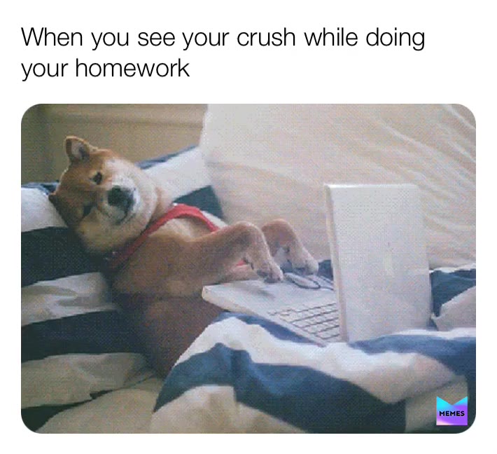 Meme shared by @crackinmemes