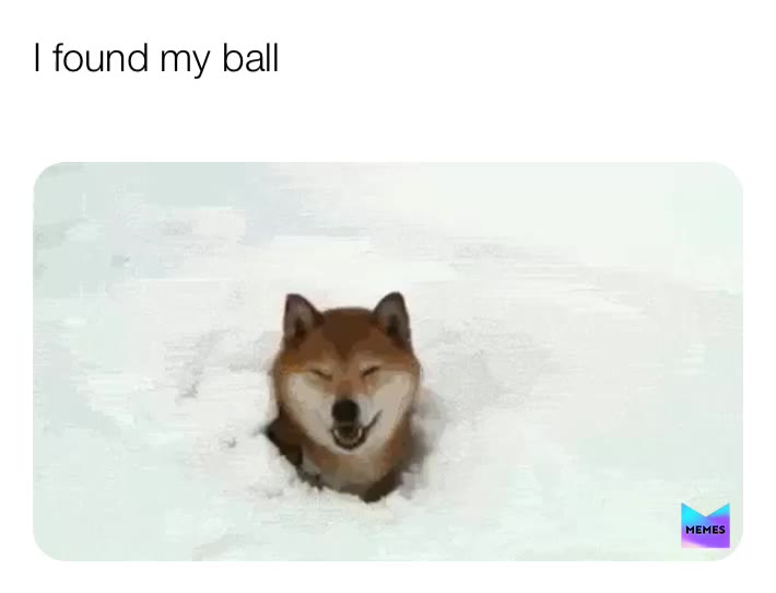 Meme shared by @crackinmemes