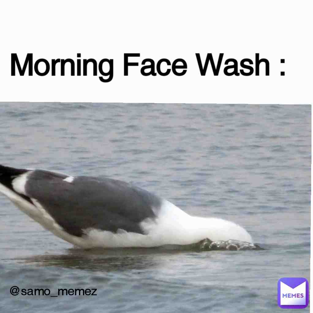 Meme preview