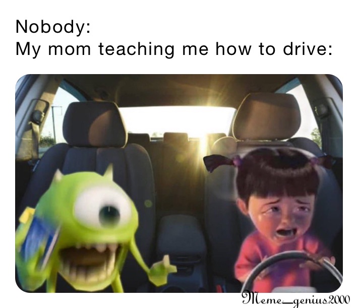 Nobody: 
My mom teaching me how to drive: