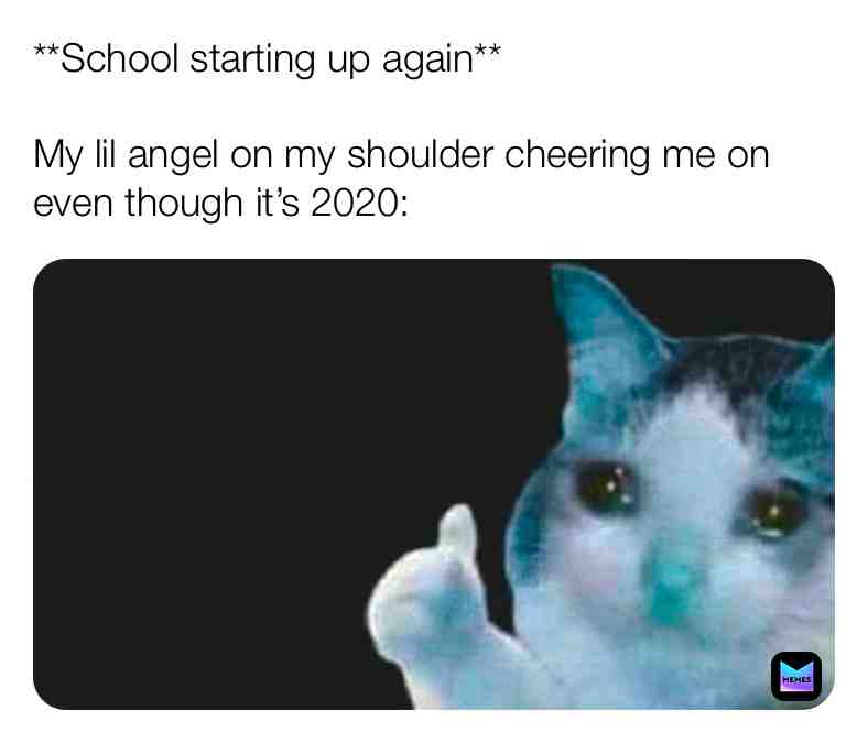 \ud83d\ude06Yeah...\ud83d\ude13
\u200b #funny #stupid #lol \u200b #XD #newmemes #school #quarantinememe #stayhome #staysafe \u200b #sadkitty