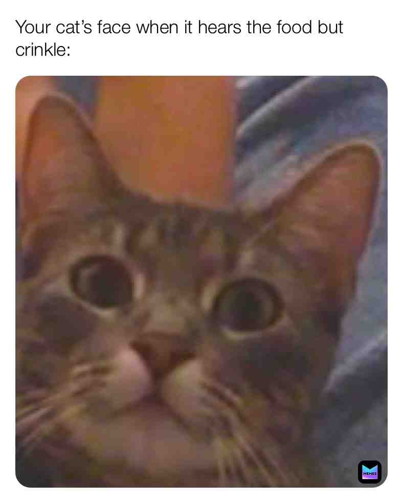  #funny #stupid #lol #XD #newmemes #quarantinememe #stayhome #staysafe