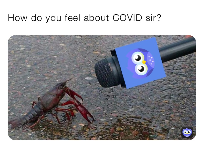 How do you feel about COVID sir?