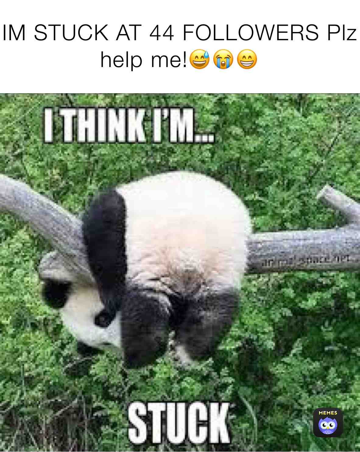 Meme shared by @YEEEE_BOIIIIII