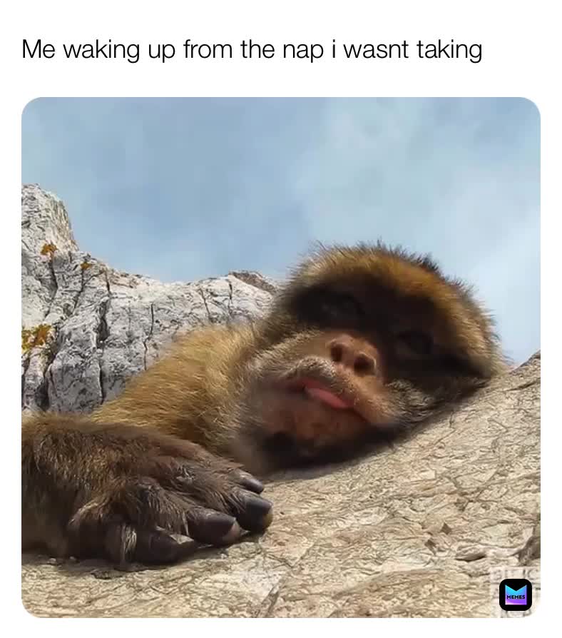 Meme preview