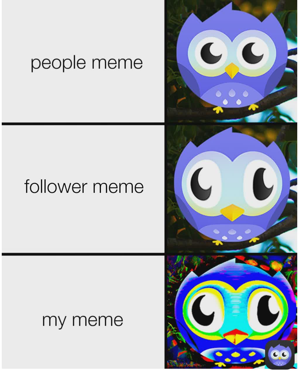 followers meme follower meme my meme people meme people meme